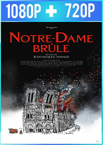 Notre-Dame Desastre en Paris 2022 ES FRE